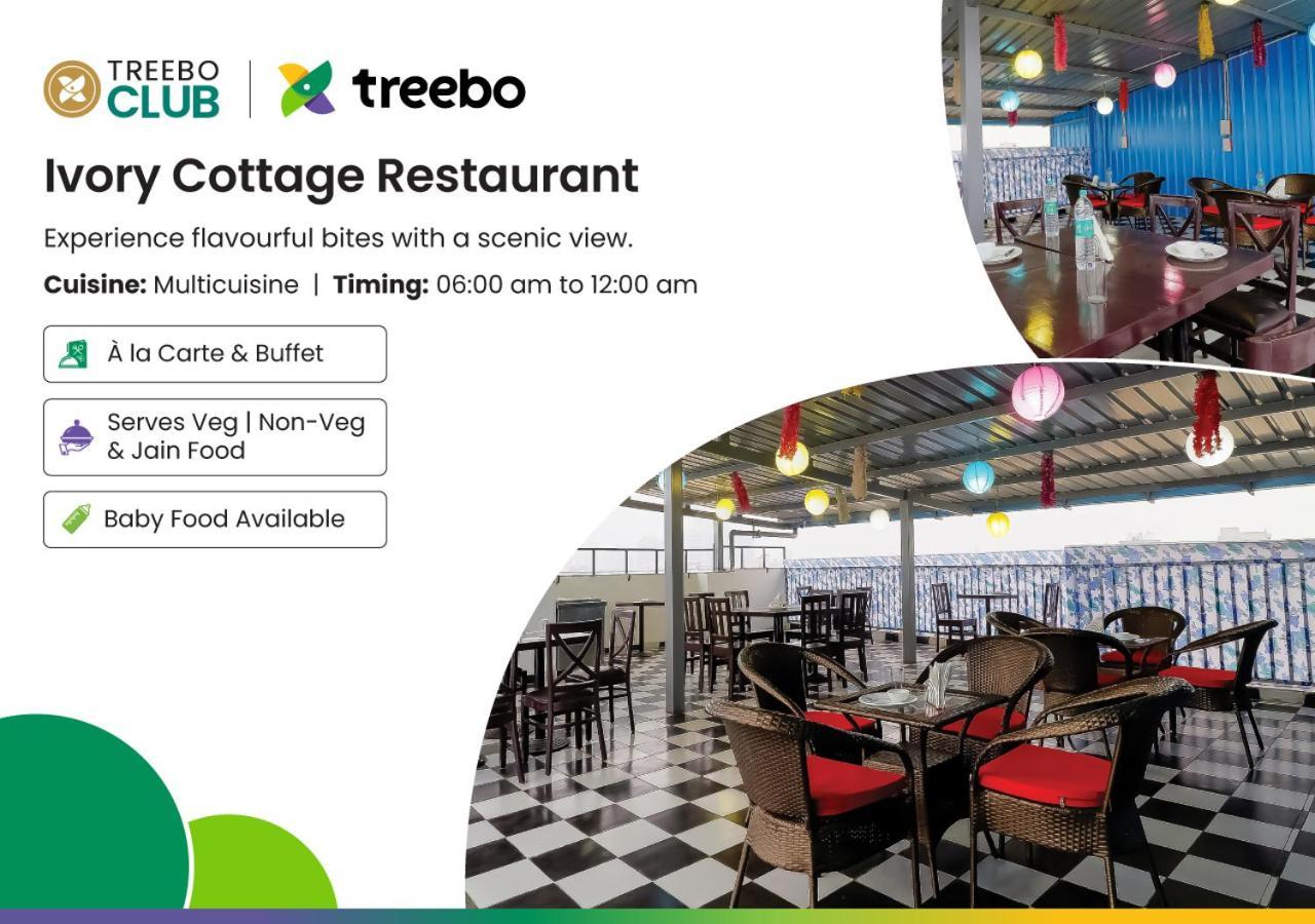 Treebo Rejoice 52 - 3Km From Huda City Metro Station Badshahpur Экстерьер фото